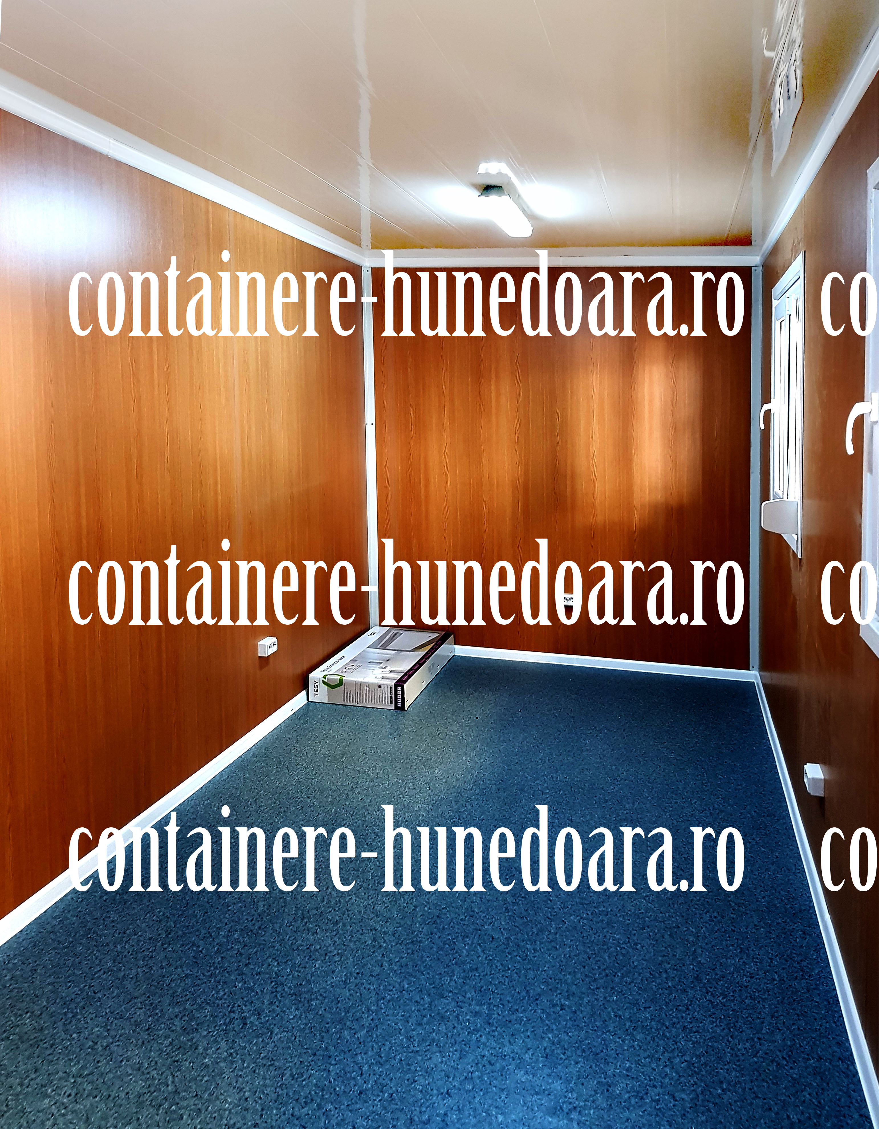 cat costa un container Hunedoara